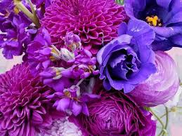 Maybe you would like to learn more about one of these? Harmon S Floral Company Portland Me Partner