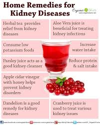 Home Remedies For Kidney Disease Include Reducing Amount Of Salt In Your Diet Eating Less Potassium L Food For Kidney Health Renal Diet Recipes Kidney Health
