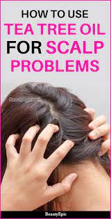 How To Use Tea Tree Oil For Scalp Tea Tree Oil Scalp Tea Tree Oil Benefits Scalp Acne