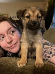 My chihuahua mix (aka Chiweenie) got pregnant by my American Eskimo I  believe she's due at the end of the month anything I need to expect ?  Picture for size Reference￼