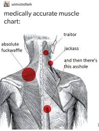 May 31, 2021 reading time: Actual Chart Of My Back Fibromyalgia