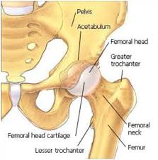 Start studying hip diagram sport med. Why Does The Front Of My Hip Pinch