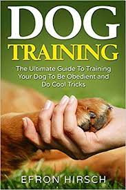 The author of total recall: Dog Training The Ultimate Guide To Training Your Dog To Be Obedient And Do Cool Tricks Volume 1 Dog Training Books Book 1 Amazon Co Uk Hirsch Efron 9781535586313 Books