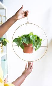 5 Plants For Your College Dorm Room The Zen Succulent Durham S Neighborhood Plant Gift Shop Dorm Plants College Dorm College Dorm Rooms