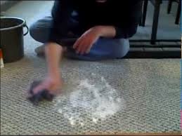 Pin By Jorie Moberley On Household Tips Remove Pet Stains Pet Stains How To Clean Carpet