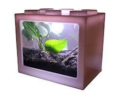 Fish tank aquarium landscaping decoration rubber software small fake fish small goldfish small betta fish fish tank decoration x. Aquatichi Nano Tank Extra Small Mini Desktop Aquarium Planted Tank Terrarium Fish Tank Perfect For The Kids Office Or Home For Small Betta Fish Shrimp Insects And Succulents White Buy Online In Lebanon At Lebanon Desertcart Com