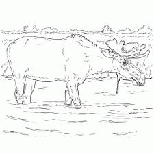 Kleurplaat van winnie de poeh en knorretje die op een brug staan. Herten Rendieren En Elanden Kleurplaten Leuk Voor Kids