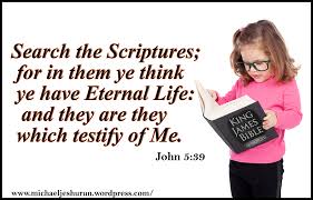 Image result for images search the scriptures