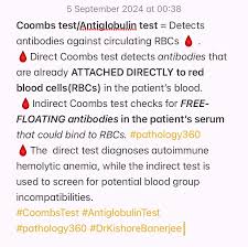 Image result for Indirect Coombs