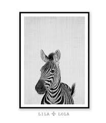 Large Black And White Animal Prints Zebra Print Nursery Printable Animal Wall Art Printable Instant Download Large Safari Decor Poster Cute African Photo Black And White Animal Wall Art Nursery Animal Wall Art Nursery Animal Prints