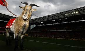 Fc köln seit 1950 in der achten generation bei meisterschaften, pokalsiegen, abstiegen und aufstiegen. He Was A Goat But We Loved Him Cologne Fans Tribute To Hennes Viii Cologne The Guardian
