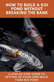 In a pond or lake the koi will eclipse the 12 inch mark in less than 24 months. How To Build A Koi Pond Cheap Step By Step Guide Outsidemodern Koi Pond Backyard Koi Pond Design Koi Fish Pond