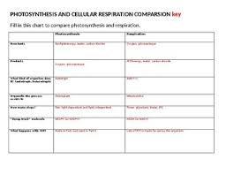 Photosynthesis And Cellular Respiration Comparison Table