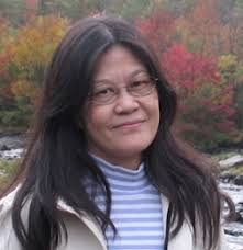 Contributions to the tribute of Ivy OI HA Ho- Lam