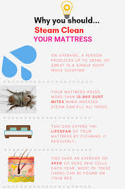 How To Steam Clean A Mattress To Remove Urine Sweat Stains Steam Cleaner Pro Mattress Cleaning Sweat Stains Steam Cleaning