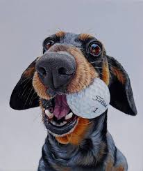 For man with pet portraits we also offer a design approval feature. Realistic Funny Dog Portraits Dog Portraits Funny Dog Portraits Dog Paintings