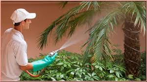 We're a local naples florida pest control company serving collier & lee counties. Middleton Acquires Naples Florida Based Marshall Pest Control Kemp Anderson