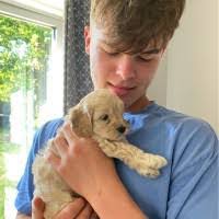 Joseph Bartle's Instagram, Twitter & Facebook