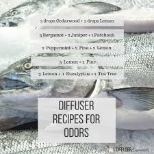 Acidic java helps to break down aromatic. What To Diffuse For Odors Around Your House Diffuser Essentials