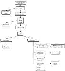 Sinus Pericranii Diagnosis And Management In 21 Pediatric