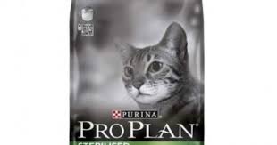 Pro Plan Kisir Kesi Mamasi Hakkinda Kedi Evcil Hayvan Urunleri Evcil Hayvanlar