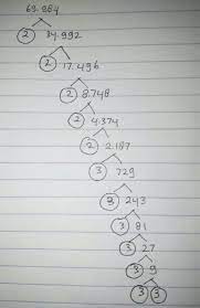 Dari pohon faktor di atas, faktorisasi prima dari bilangan 729 adalah sebagai berikut. Pohon Faktor Dari 69 984 Tolong Kerjain Yah Kakak Kakak Dan Abang Abang Dengan Caranya Yah Kakak Brainly Co Id