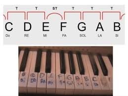 Griffbilder, akkorde, akkordgriffe, grifftabelle lernen und transponieren: Kostenloser Klavierkurs Fur Anfanger