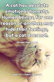 A Cat Has Absolute Emotional Honesty Human Beings For One Reason Or Another May Hide Their Feelings But A Cat D Cat Quotes Cat Quotes Funny Hemingway Cats