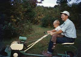 Lawn Mowing Horsham West Sussex Http Blog Ayegardening Co Uk Lawn Lawn Mower Landscaping Company