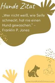 Sprüche zum nachdenken auf sozialen medien. 35 Coole Hunde Spruche Hunde Zitate Ideen Hund Zitat Hundespruche Hunde