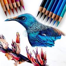Colored Pencil Artworks On Instagram Awesome Drawing Artist Dominique Cates Art Color Pencil Art Coloring Book Art Color Pencil Sketch It is widely preferred by our customers who want to get a. colored pencil artworks on instagram
