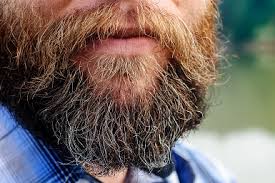Can you use beard oil on your hair? How Often To Use Beard Oil Beard Oil Recipes