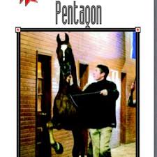 Pentagon American Saddlebred Stallion American Saddlebred Saddlebred Horses