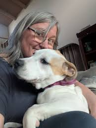 Found dog in Pine Forest area near Corbett, seeking owner