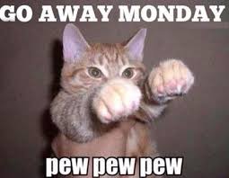Image result for funny monday gifs