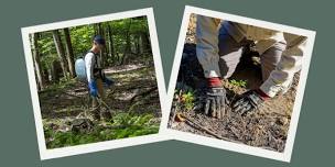 Invasive Plant Management Course