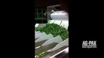 Ag-Pak Green Bean Bagging Line - NEWTEC PC Weigher and Ag Pak Octo Pak Carousel Bagger