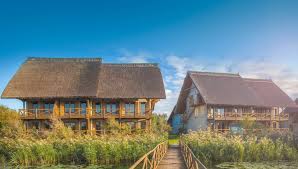 Check spelling or type a new query. Homepage Green Village Resort