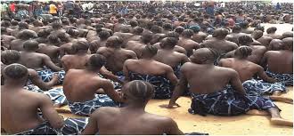 Inside the Jukun Wanu Festival: ... || Nnewi City