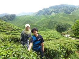 Startseite » pahang » ringlet » ladang boh » 39200. Tertunailah Hasrat Di Hati Bharat Tea Plantation Bercuti Ke Cameron Highland