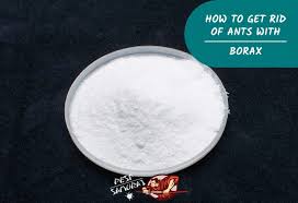 Check spelling or type a new query. How To Get Rid Of Ants With Borax A Complete Guide Pest Samurai