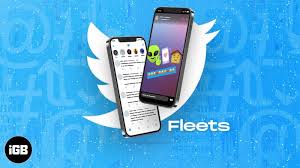 » 08 · 5306 · а.и. How To Use Twitter Fleets On Iphone Igeeksblog