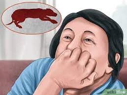 3 Ways To Cope With The Death Of A Dog - Wikihow