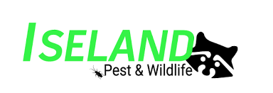 Wildlife control & animal control. Birds Denver Commercial Pest Control Residential Pest Control And Wildlife Removal