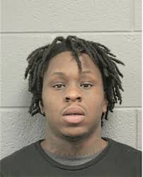 ᐅ Illinois Criminal Records 2009-2025