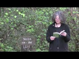 Dogtown Chronicles Graveyard Reading