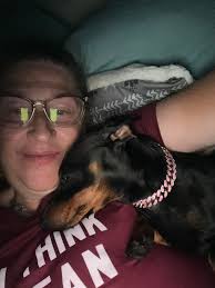 Toledo and surrounding area lost and found pets