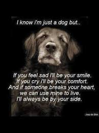 Pin By Kenda Secoy On Teksten Dog Quotes Dogs Dog Lovers