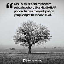 Mari Menanam Pohon Ehh Menanam Cinta Quotes Pinterest Islam And Allah