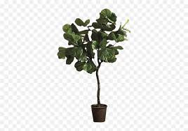 It is hollow and have not wanted to discolor by soldering on a mounting bolt. Fiddle Leaf Fig Png 3 Image Faux Fiddle Leaf Fig Tree Fiddle Png Free Transparent Png Images Pngaaa Com
